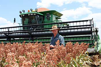 Dougall Millar - Northern Queensland farm consultant - developing farms and growing crops