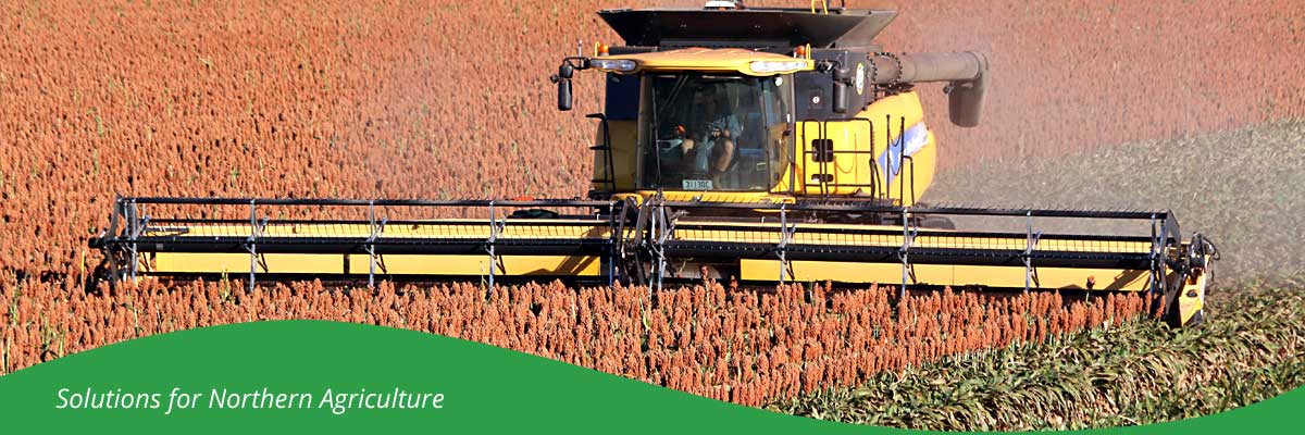 Northern Queensland rain grown crop production