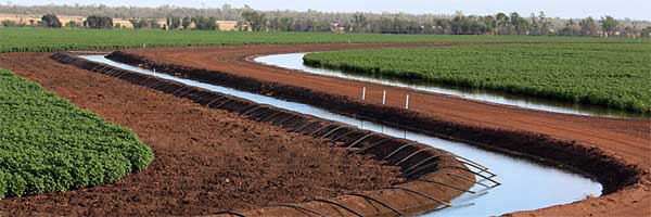 Agricultural Consultant Northern Queensland 